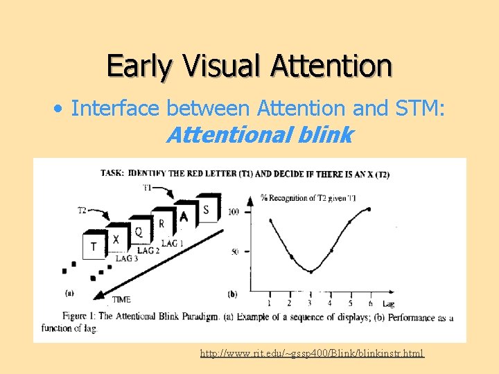 Early Visual Attention • Interface between Attention and STM: Attentional blink http: //www. rit.