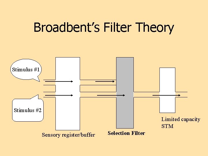 Broadbent’s Filter Theory Stimulus #1 Stimulus #2 Limited capacity STM Sensory register/buffer Selection Filter