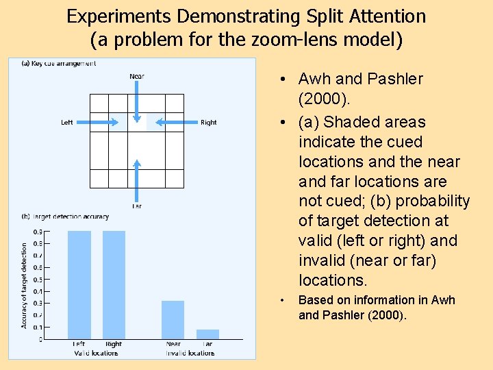 Experiments Demonstrating Split Attention (a problem for the zoom-lens model) • Awh and Pashler