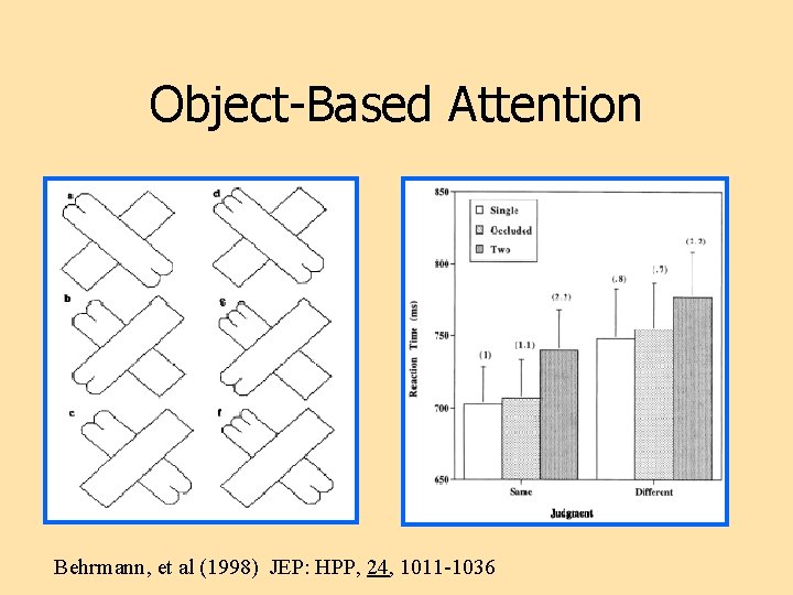 Object-Based Attention Behrmann, et al (1998) JEP: HPP, 24, 1011 -1036 
