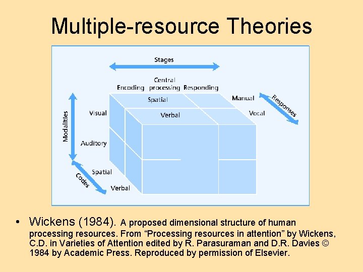 Multiple-resource Theories • Wickens (1984). A proposed dimensional structure of human processing resources. From