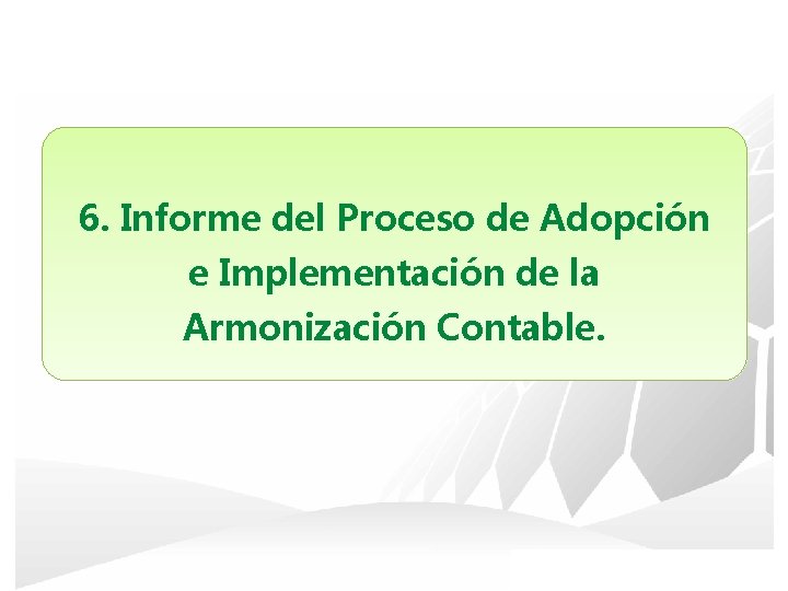 6. Informe del Proceso de Adopción e Implementación de la Armonización Contable. 