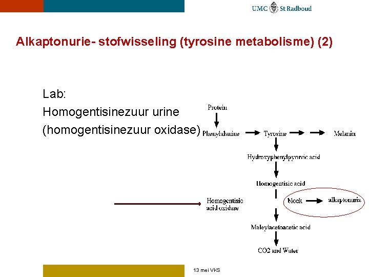 Alkaptonurie- stofwisseling (tyrosine metabolisme) (2) Lab: Homogentisinezuur urine (homogentisinezuur oxidase) 13 mei VKS 