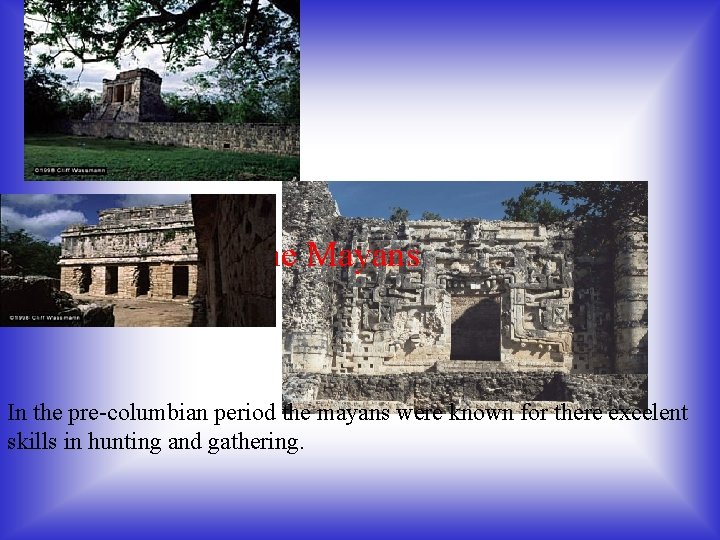  The Mayans In the pre-columbian period the mayans were known for there excelent