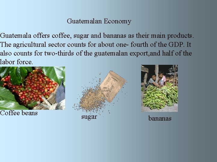 Guatemalan Economy Guatemala offers coffee, sugar and bananas as their main products. The agricultural