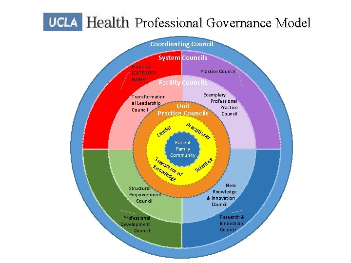 Professional Governance Model Coordinating Council System Councils Empirical [CATEGORY NAME] Practice Council Facility Councils