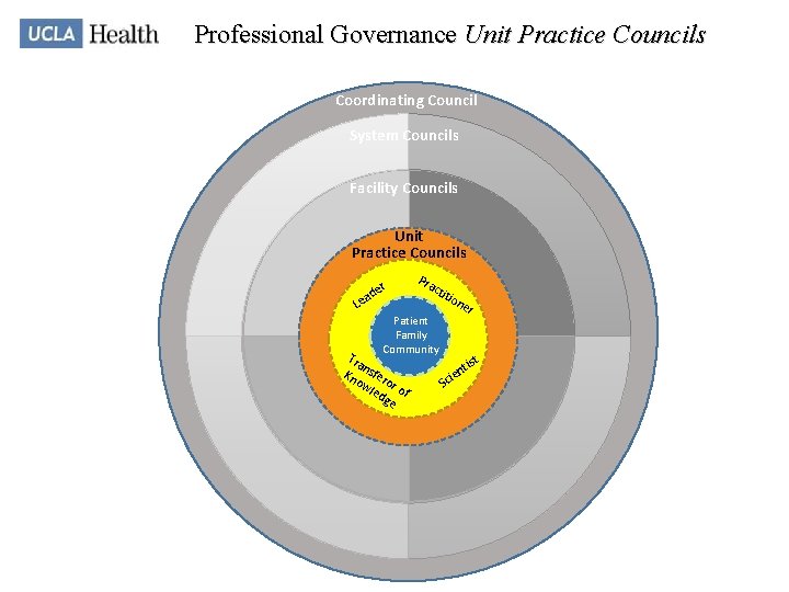 Professional Governance Unit Practice Councils Coordinating Council System Councils Facility Councils Unit Practice Councils