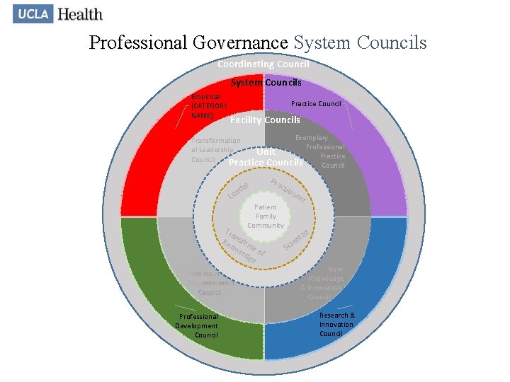 Professional Governance System Councils Professional Governance Coordinating Council System Councils Empirical [CATEGORY NAME] Practice