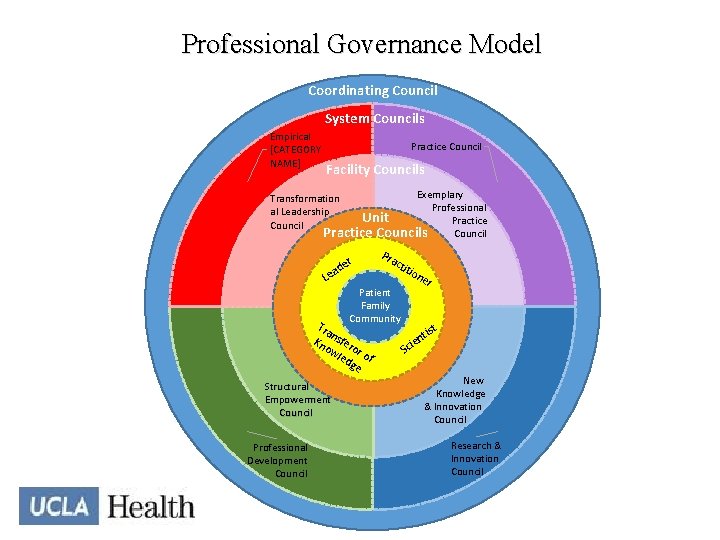 Professional Governance Model Coordinating Council System Councils Empirical [CATEGORY NAME] Practice Council Facility Councils