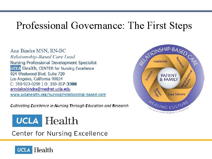  Professional Governance: The First Steps 