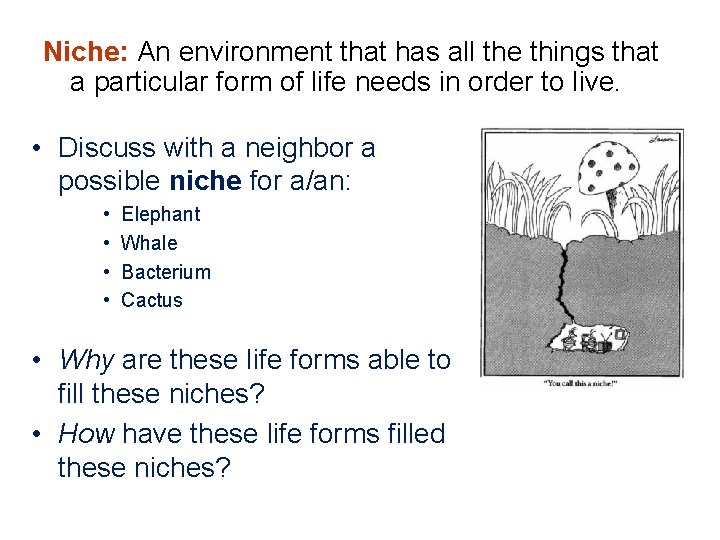 Niche: An environment that has all the things that a particular form of life