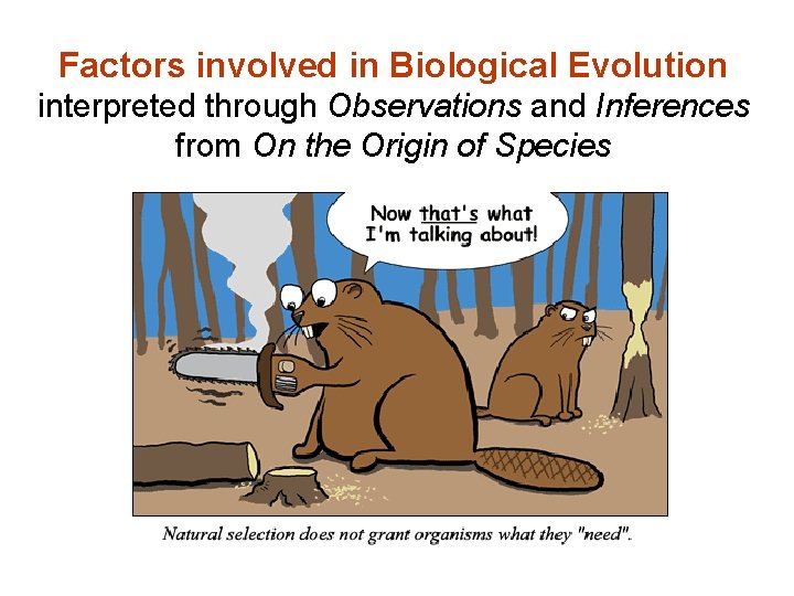 Factors involved in Biological Evolution interpreted through Observations and Inferences from On the Origin