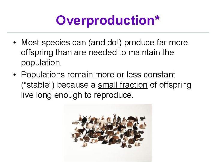 Overproduction* • Most species can (and do!) produce far more offspring than are needed