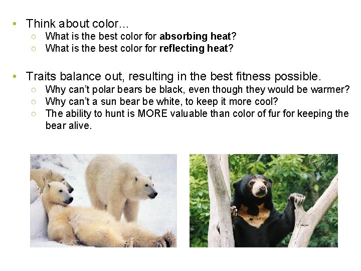  • Think about color… ○ What is the best color for absorbing heat?