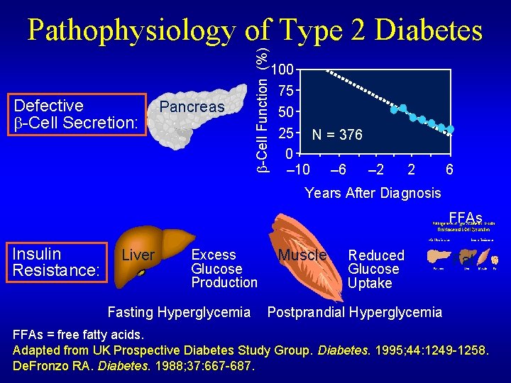 Defective -Cell Secretion: Pancreas -Cell Function (%) Pathophysiology of Type 2 Diabetes 100 75