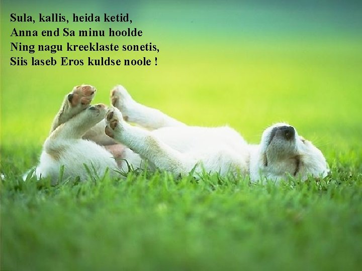 Sula, kallis, heida ketid, Anna end Sa minu hoolde Ning nagu kreeklaste sonetis, Siis