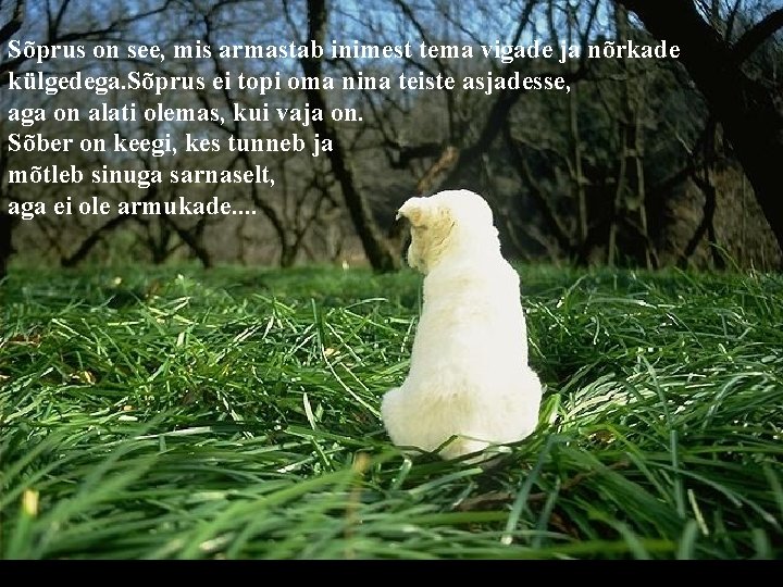 Sõprus on see, mis armastab inimest tema vigade ja nõrkade külgedega. Sõprus ei topi