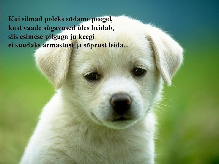 Kui silmad poleks südame peegel, kust vaade sügavused üles heidab, siis esimese pilguga ju