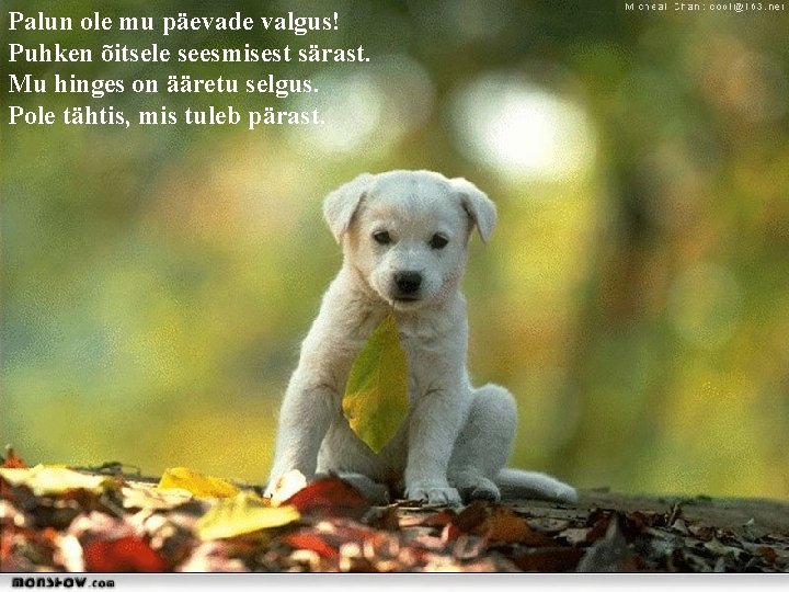 Palun ole mu päevade valgus! Puhken õitsele seesmisest särast. Mu hinges on ääretu selgus.