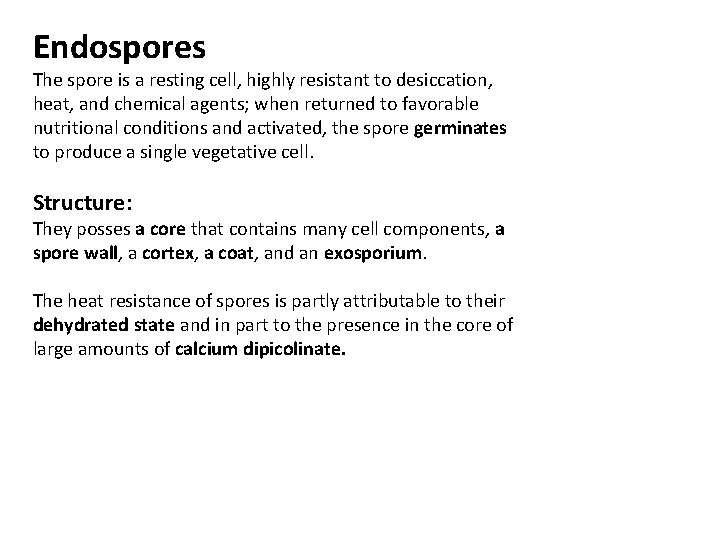 Endospores The spore is a resting cell, highly resistant to desiccation, heat, and chemical