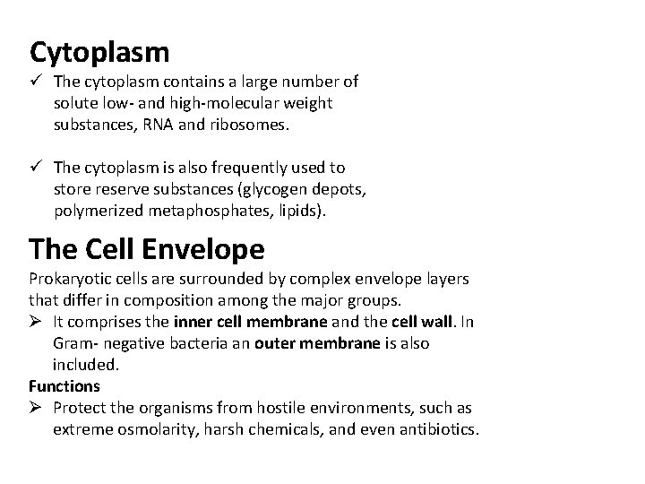 Cytoplasm ü The cytoplasm contains a large number of solute low- and high-molecular weight