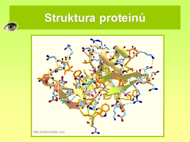 Struktura proteinů http: //scitechdaily. com 