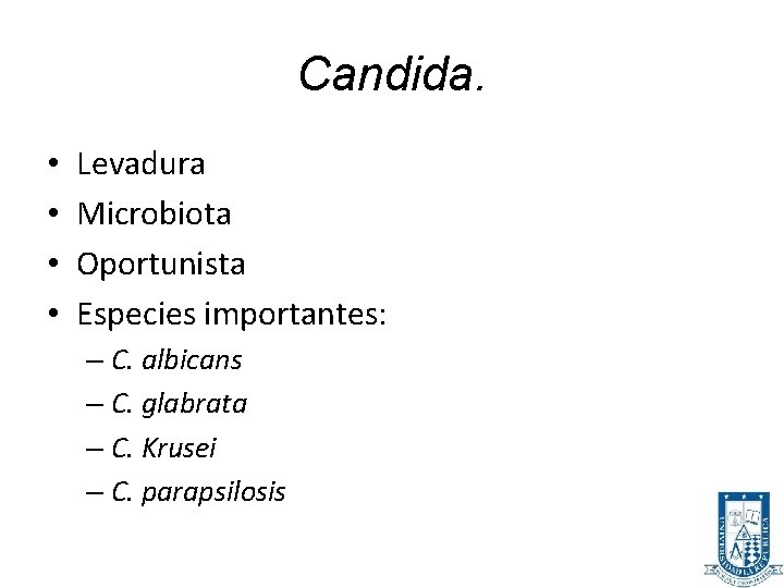 Candida. • • Levadura Microbiota Oportunista Especies importantes: – C. albicans – C. glabrata