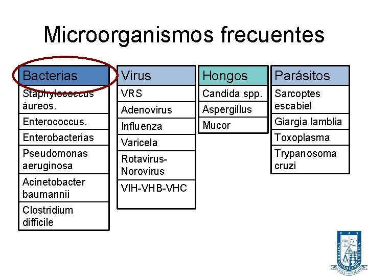 Microorganismos frecuentes Bacterias Virus Hongos Parásitos Staphylococcus áureos. VRS Candida spp. Adenovirus Aspergillus Sarcoptes