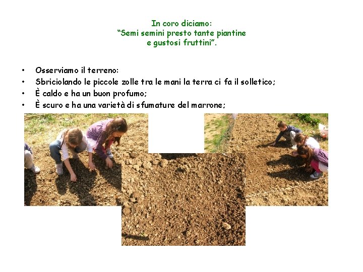 In coro diciamo: “Semi semini presto tante piantine e gustosi fruttini”. • • Osserviamo