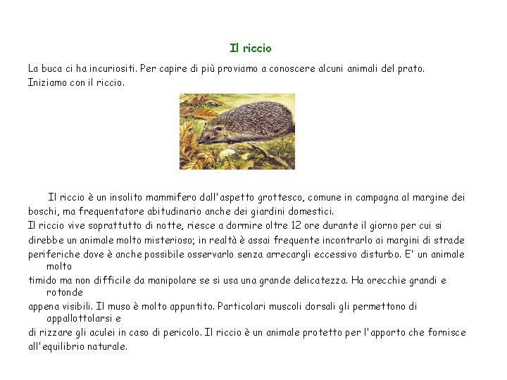 Il riccio La buca ci ha incuriositi. Per capire di più proviamo a conoscere