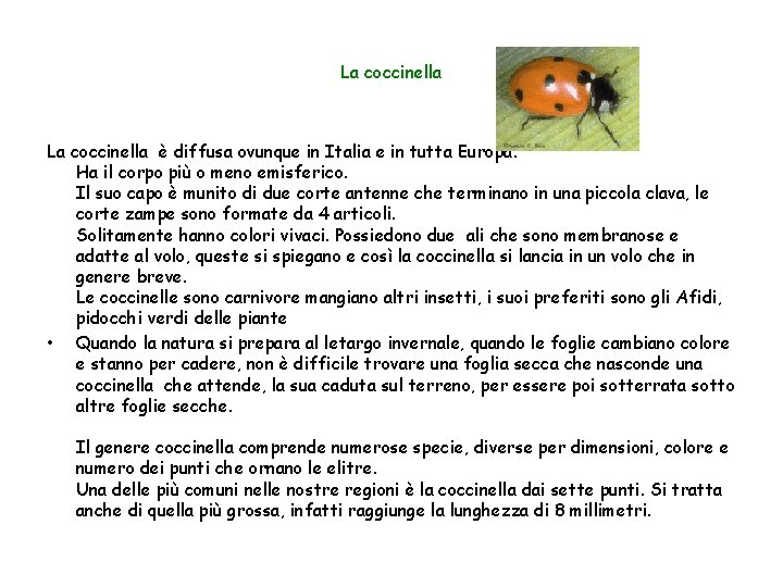 La coccinella è diffusa ovunque in Italia e in tutta Europa. Ha il corpo