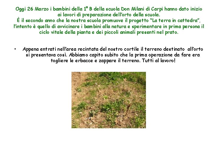 Oggi 26 Marzo i bambini della 1° B della scuola Don Milani di Carpi