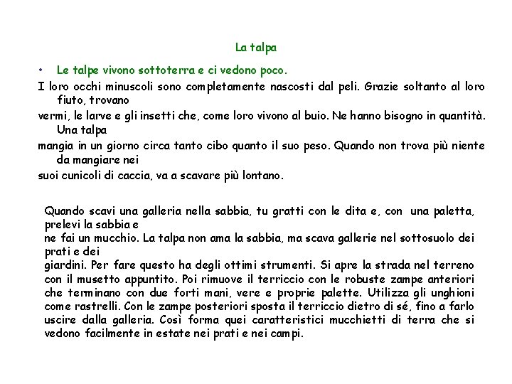 La talpa • Le talpe vivono sottoterra e ci vedono poco. I loro occhi