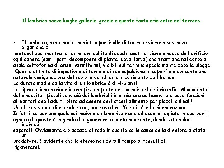 Il lombrico scava lunghe gallerie, grazie a queste tanta aria entra nel terreno. Il