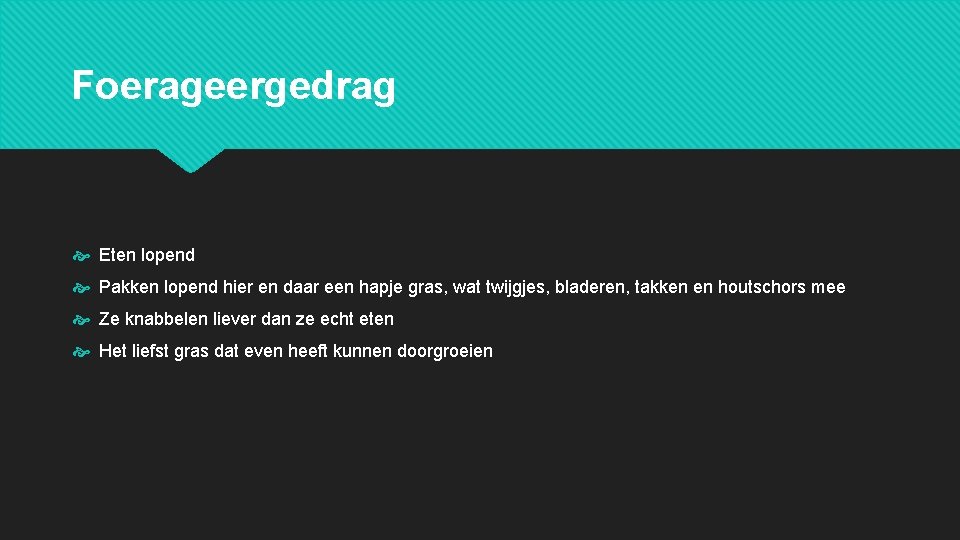Foerageergedrag Eten lopend Pakken lopend hier en daar een hapje gras, wat twijgjes, bladeren,