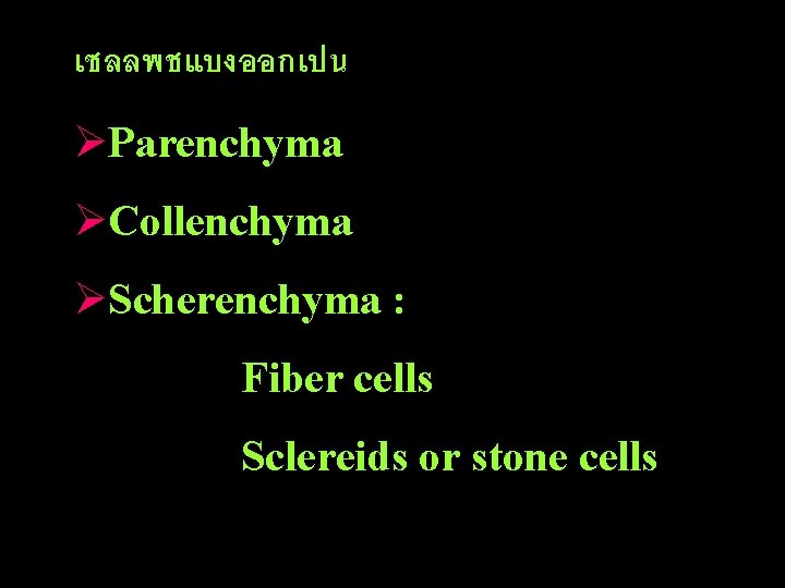 เซลลพชแบงออกเปน ØParenchyma ØCollenchyma ØScherenchyma : Fiber cells Sclereids or stone cells 
