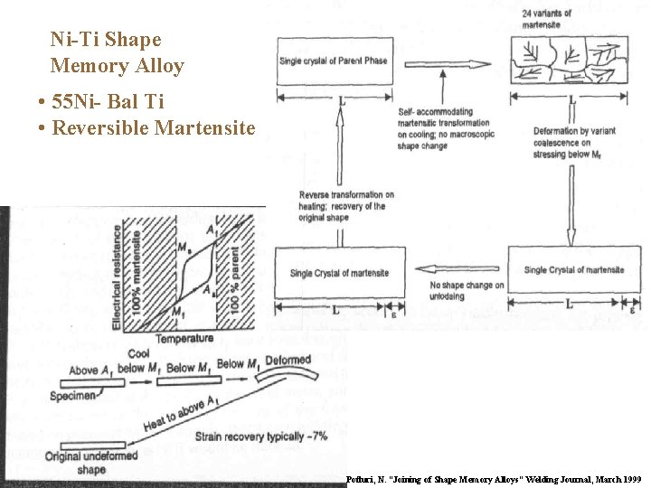 Ni-Ti Shape Memory Alloy • 55 Ni- Bal Ti • Reversible Martensite Potluri, N.