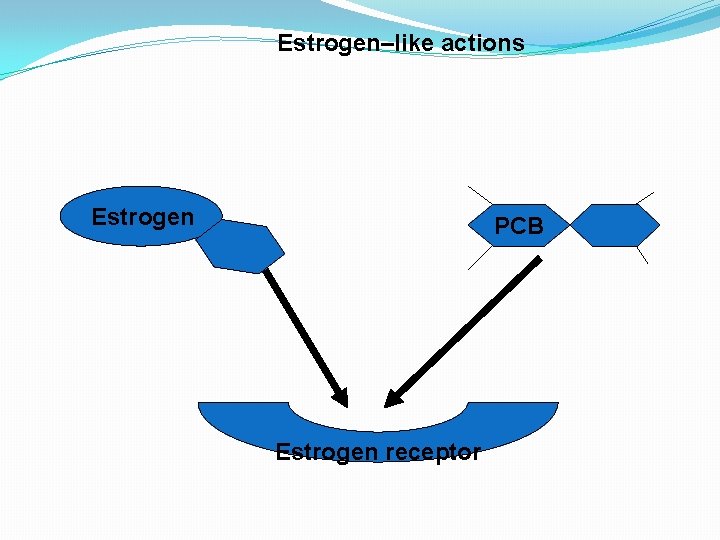 Estrogen–like actions Estrogen PCB Estrogen receptor 