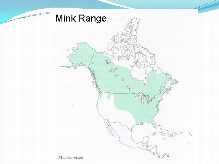 Mink Range 