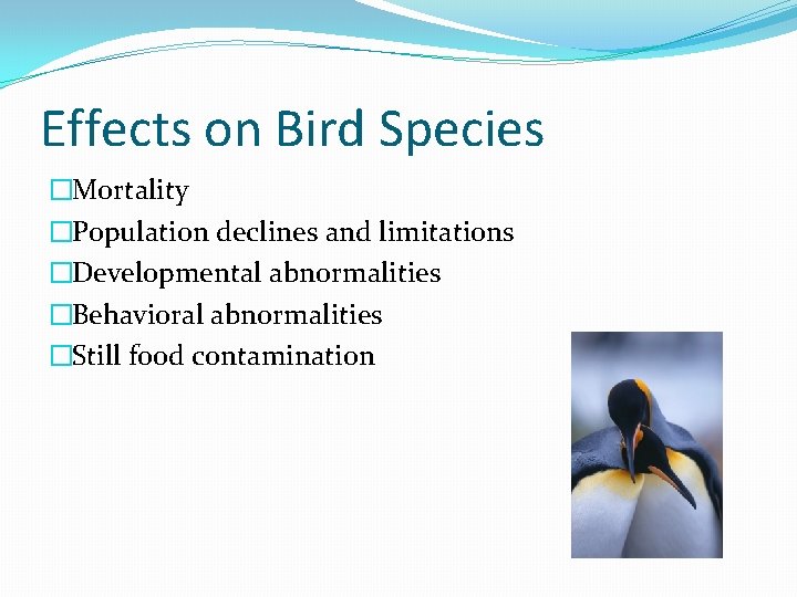 Effects on Bird Species �Mortality �Population declines and limitations �Developmental abnormalities �Behavioral abnormalities �Still