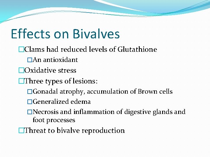 Effects on Bivalves �Clams had reduced levels of Glutathione �An antioxidant �Oxidative stress �Three