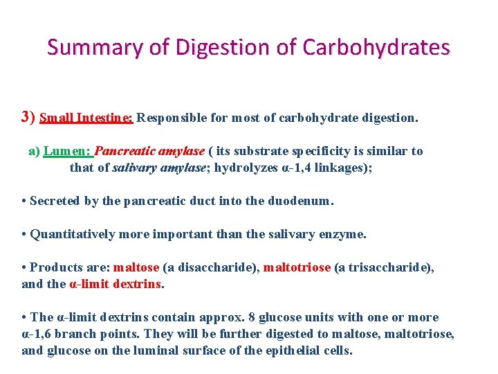 Summary of Digestion of Carbohydrates 3) Small Intestine: Responsible for most of carbohydrate digestion.