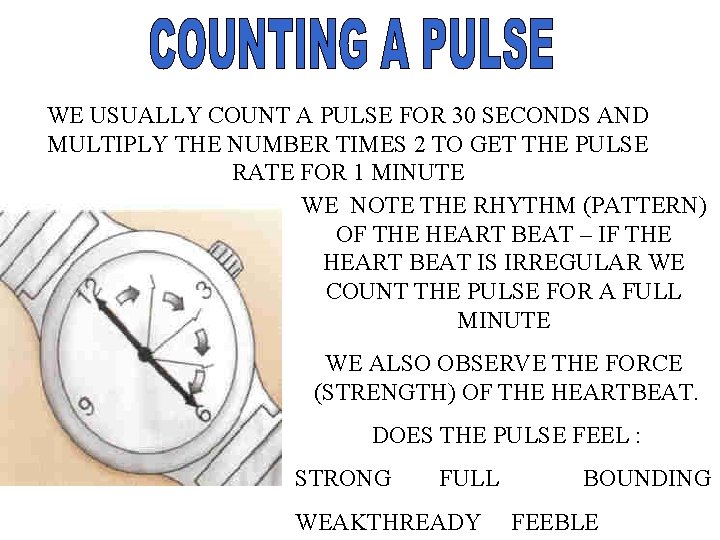 WE USUALLY COUNT A PULSE FOR 30 SECONDS AND MULTIPLY THE NUMBER TIMES 2