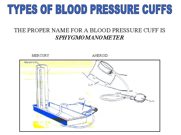THE PROPER NAME FOR A BLOOD PRESSURE CUFF IS SPHYGMOMANOMETER MERCURY ANEROID 