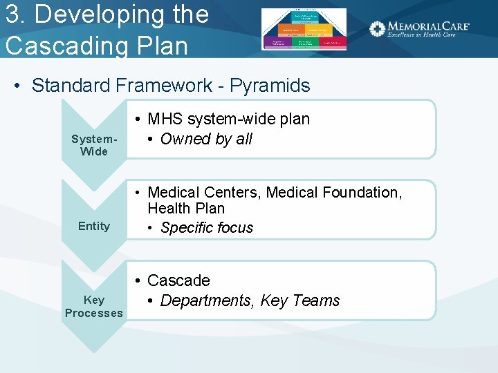 3. Developing the Cascading Plan • Standard Framework - Pyramids System. Wide Entity Key