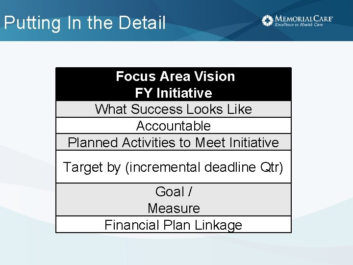 Putting In the Detail Focus Area Vision FY Initiative What Success Looks Like Accountable
