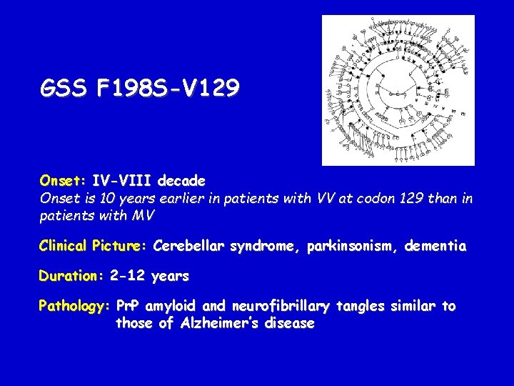 GSS F 198 S-V 129 Onset: IV-VIII decade Onset is 10 years earlier in