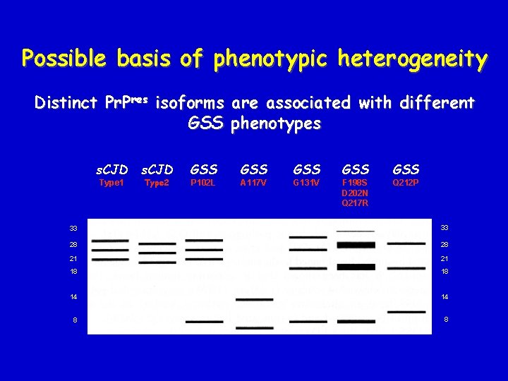 Possible basis of phenotypic heterogeneity Distinct Pr. Pres isoforms are associated with different GSS