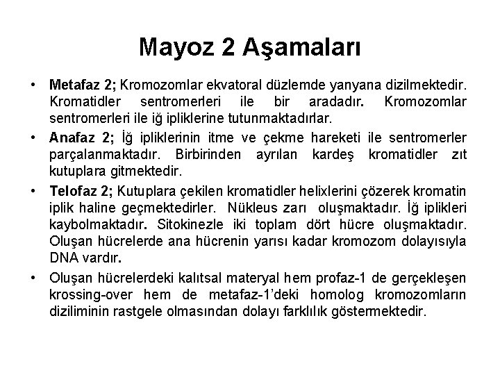 Mayoz 2 Aşamaları • Metafaz 2; Kromozomlar ekvatoral düzlemde yanyana dizilmektedir. Kromatidler sentromerleri ile
