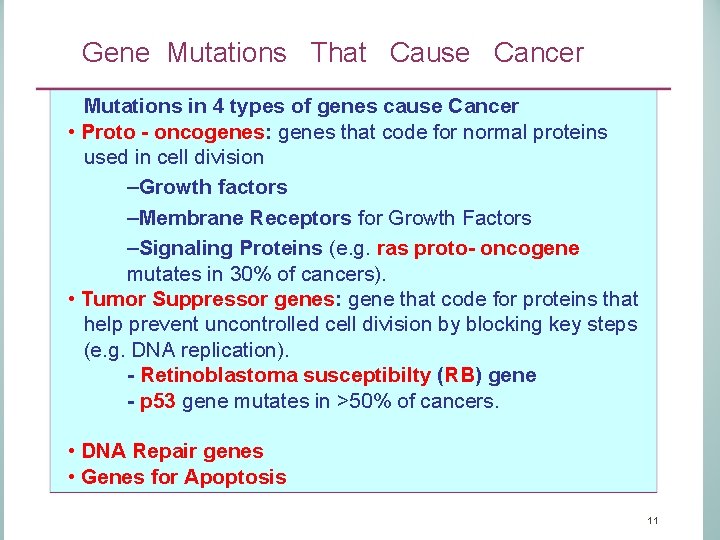 Gene Mutations That Cause Cancer Mutations in 4 types of genes cause Cancer •